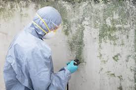 Best Mold Remediation for Healthcare Facilities  in Ripon, CA